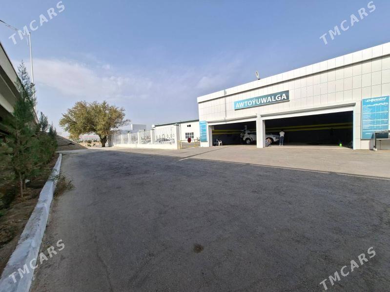 arenda moyka - Бедев - img 5