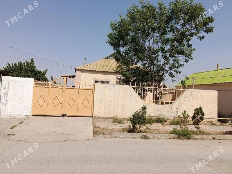 Buzmeyin Akdasayak - Büzmeýin - img 1