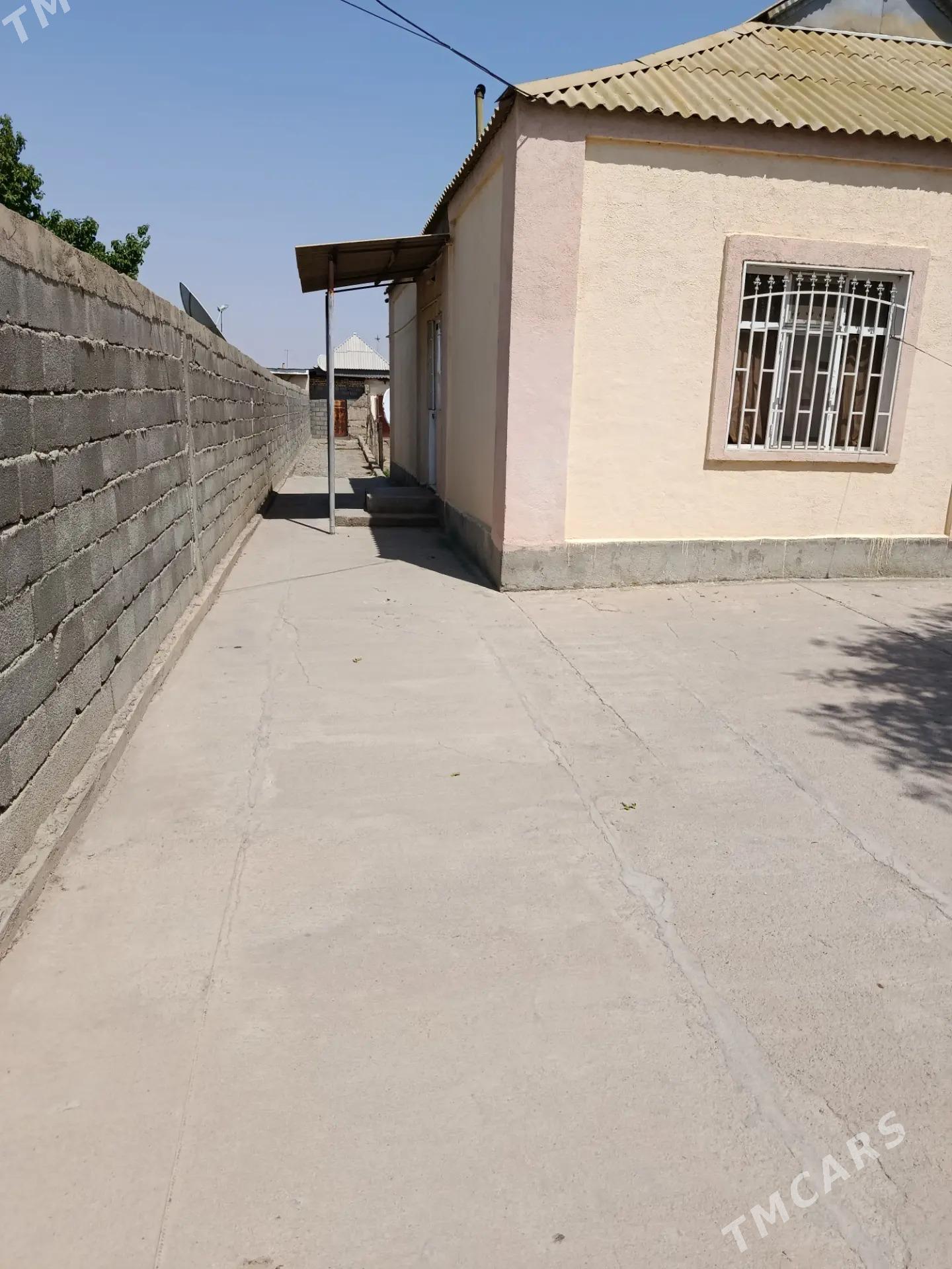 Buzmeyin Akdasayak - Büzmeýin - img 5