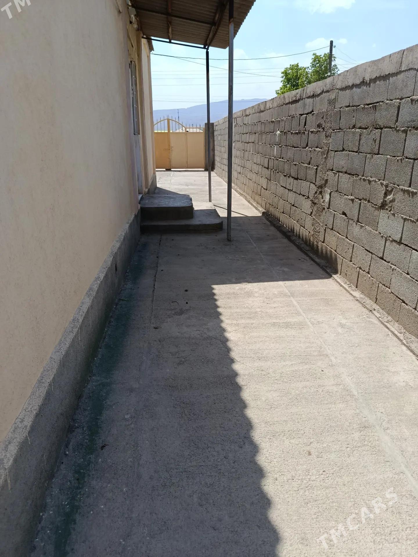 Buzmeyin Akdasayak - Büzmeýin - img 4