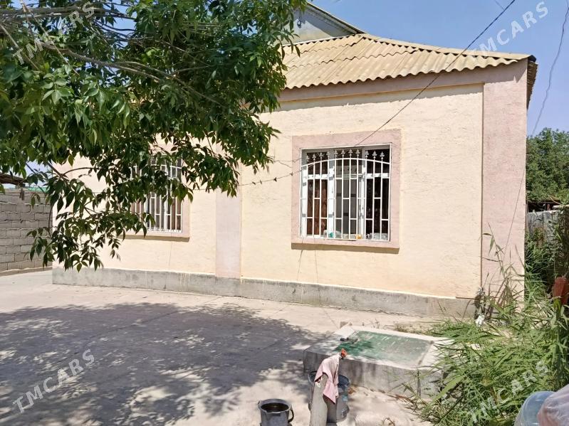 Buzmeyin Akdasayak - Büzmeýin - img 3