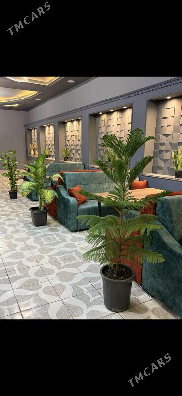 Gyz ofisant gerek - Мары - img 5