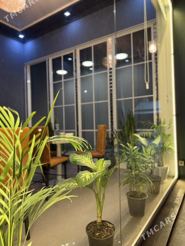 Gyz ofisant gerek - Мары - img 2