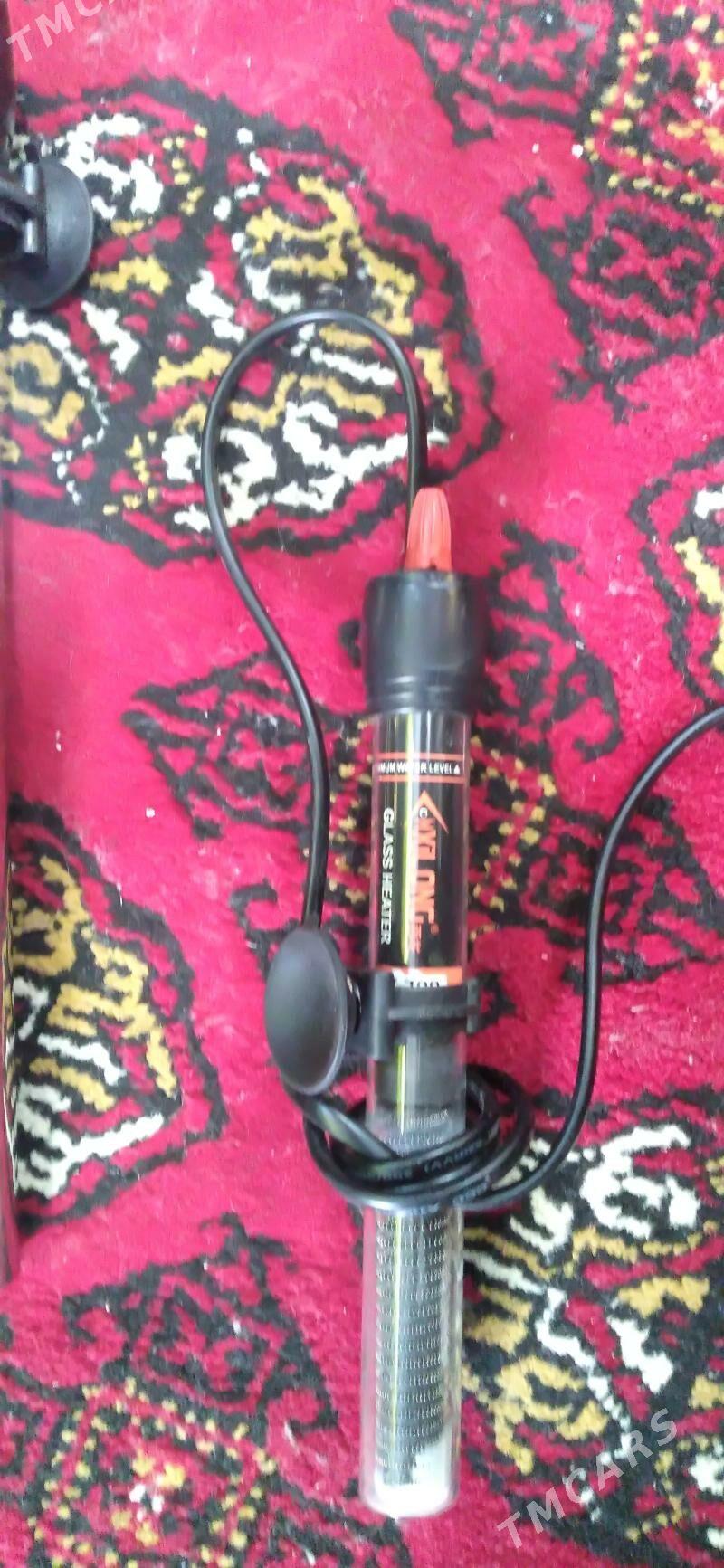 nagrewatel - Aşgabat - img 2