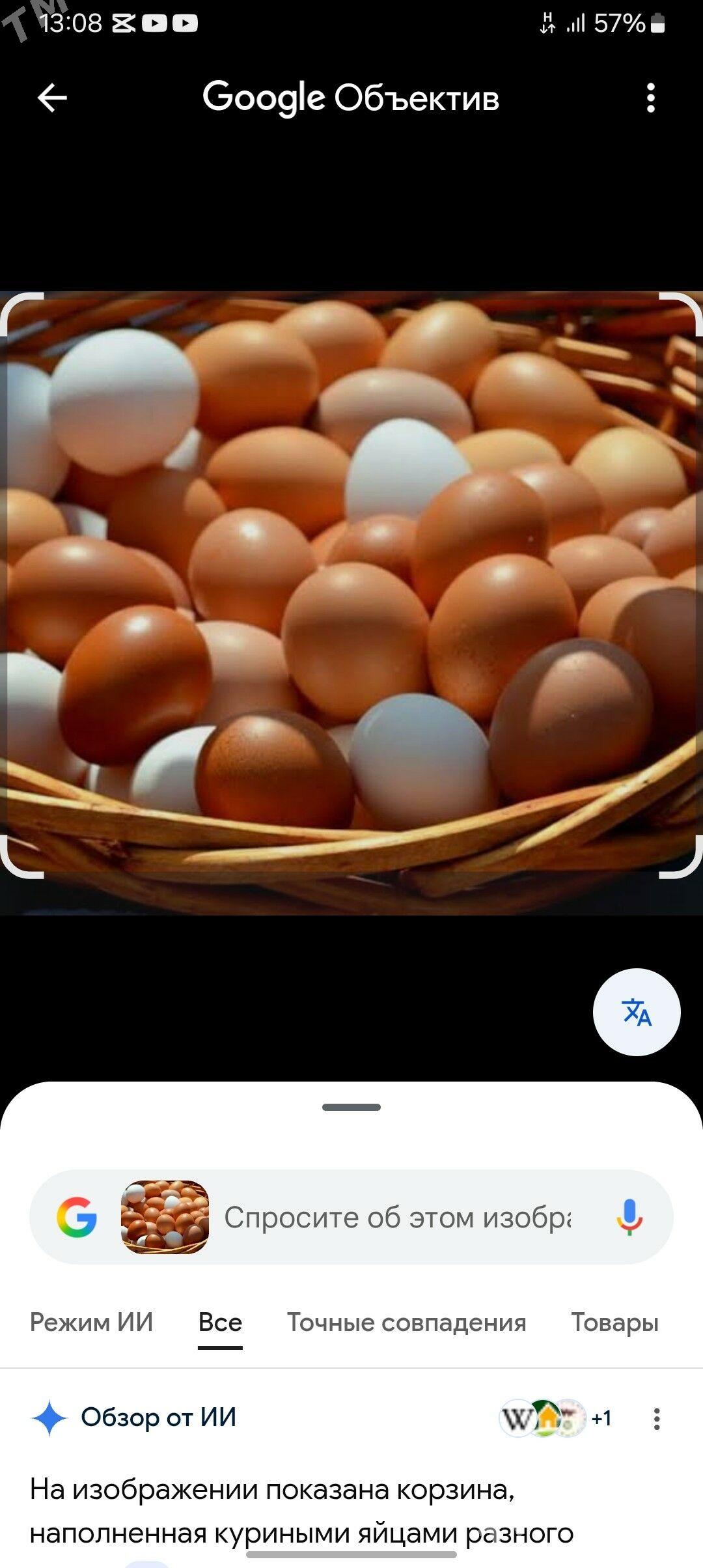 towuk yumurtga - Гумдаг - img 2