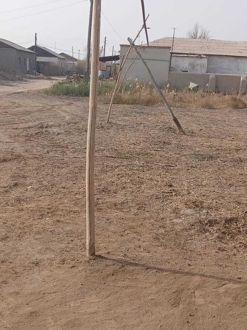 Satlyk jay - Köneürgenç - img 4