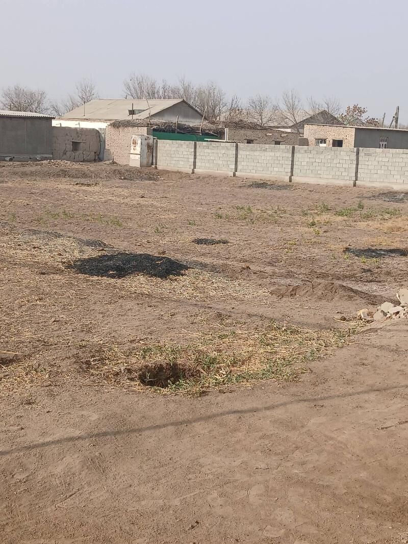 Satlyk jay - Köneürgenç - img 2