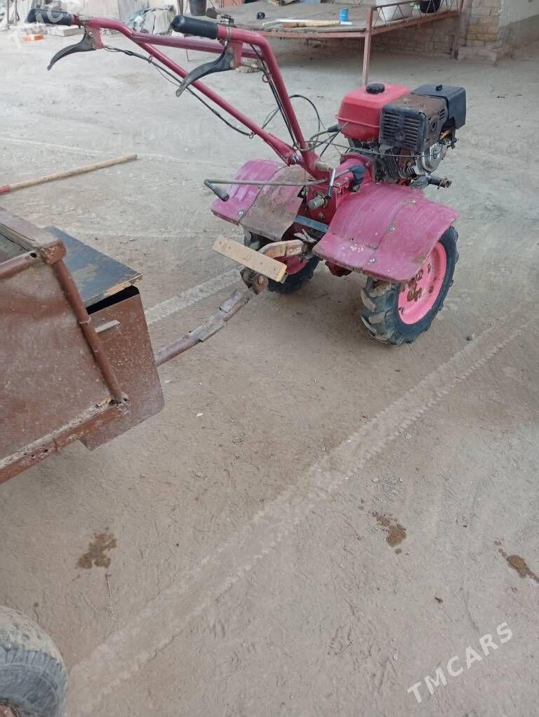 traktor - Türkmenabat - img 2