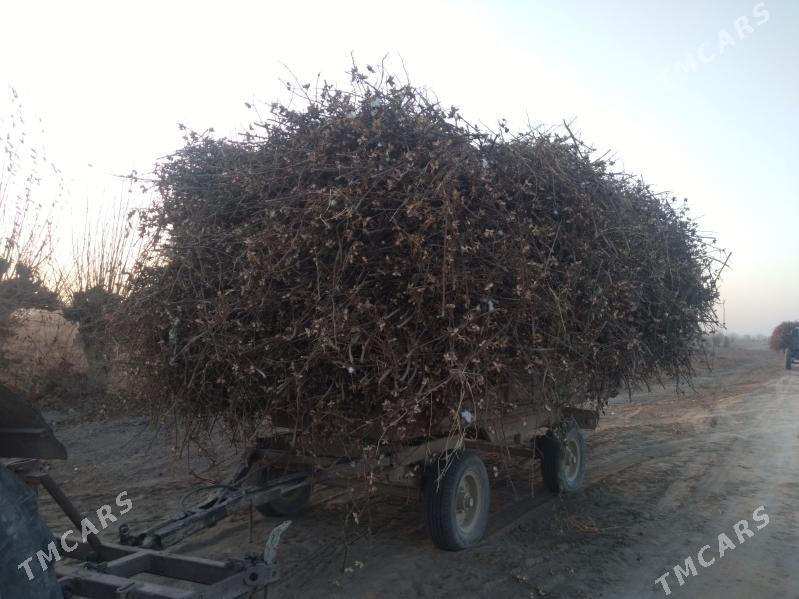 Paýa odun - Дашогуз - img 2