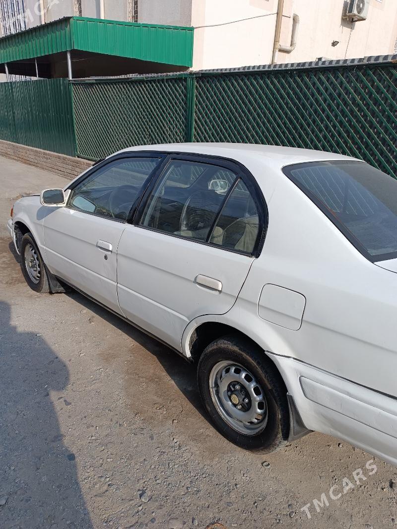 Toyota Tercel 1998 - 30 000 TMT - Туркменабат - img 2