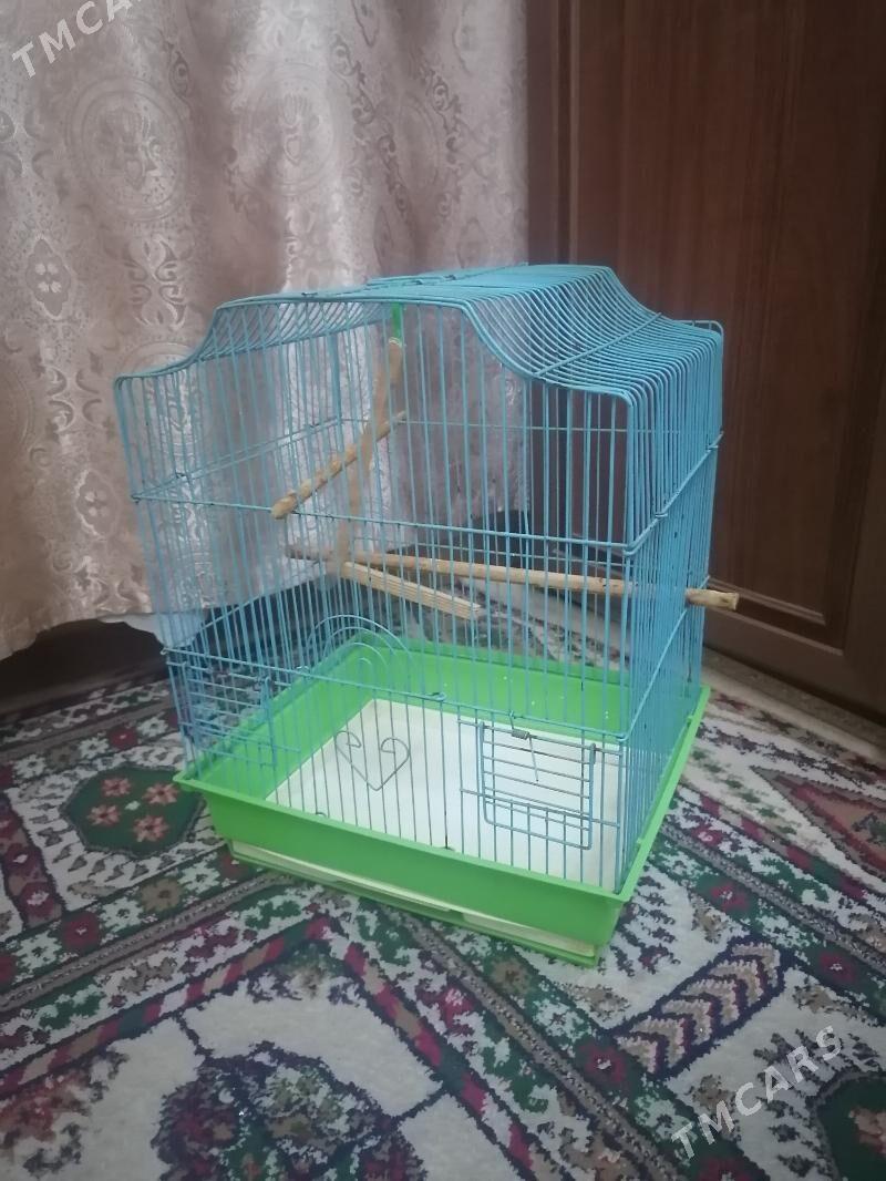 клетка - Ашхабад - img 2