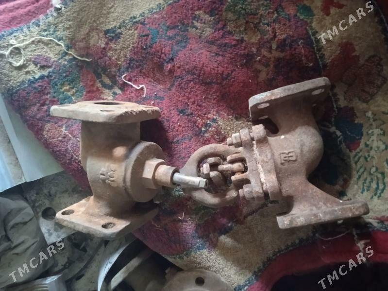 pasiwnik - Balkanabat - img 4