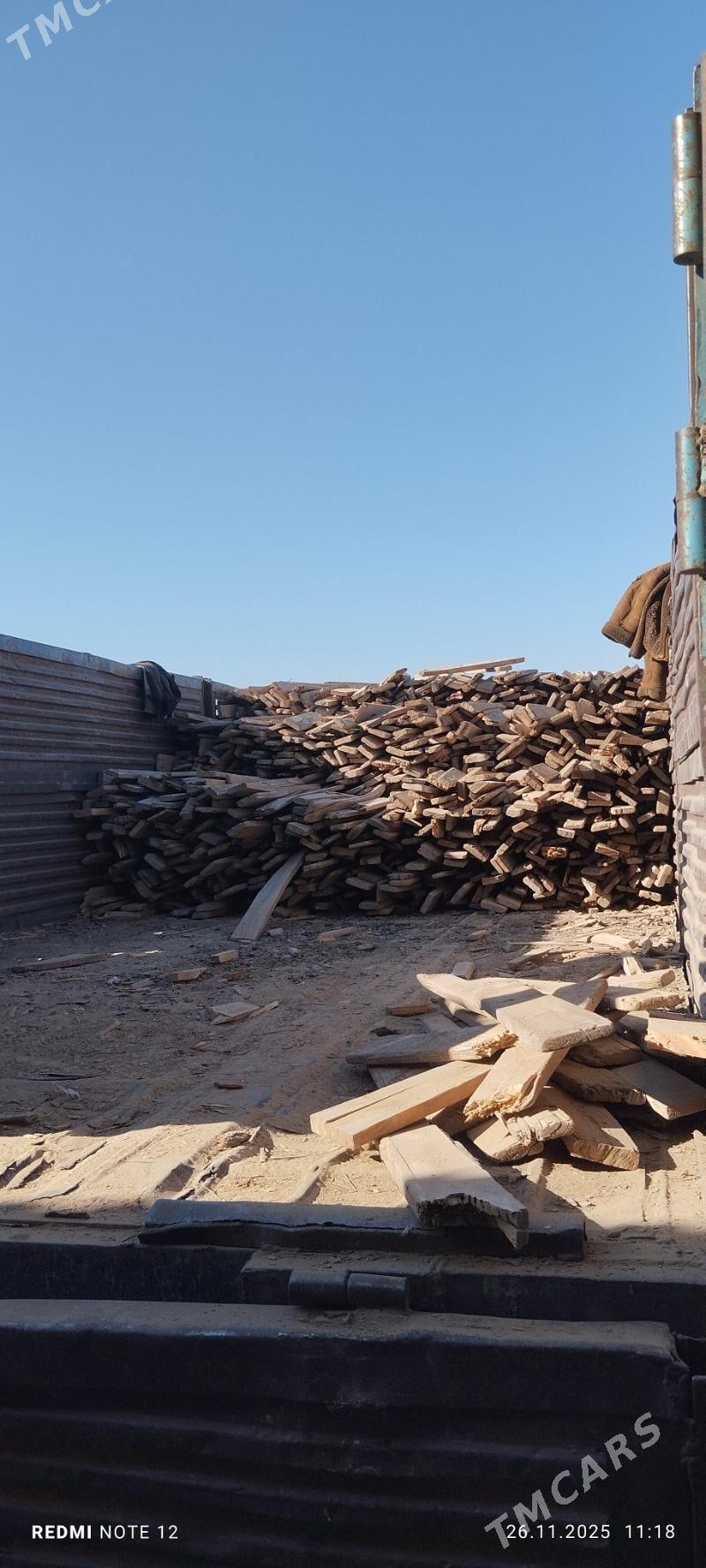 agac - Murgap - img 3