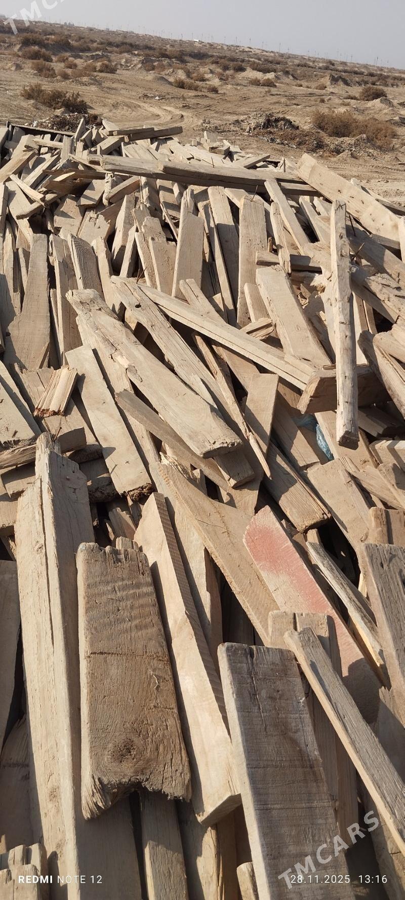 agac - Murgap - img 2