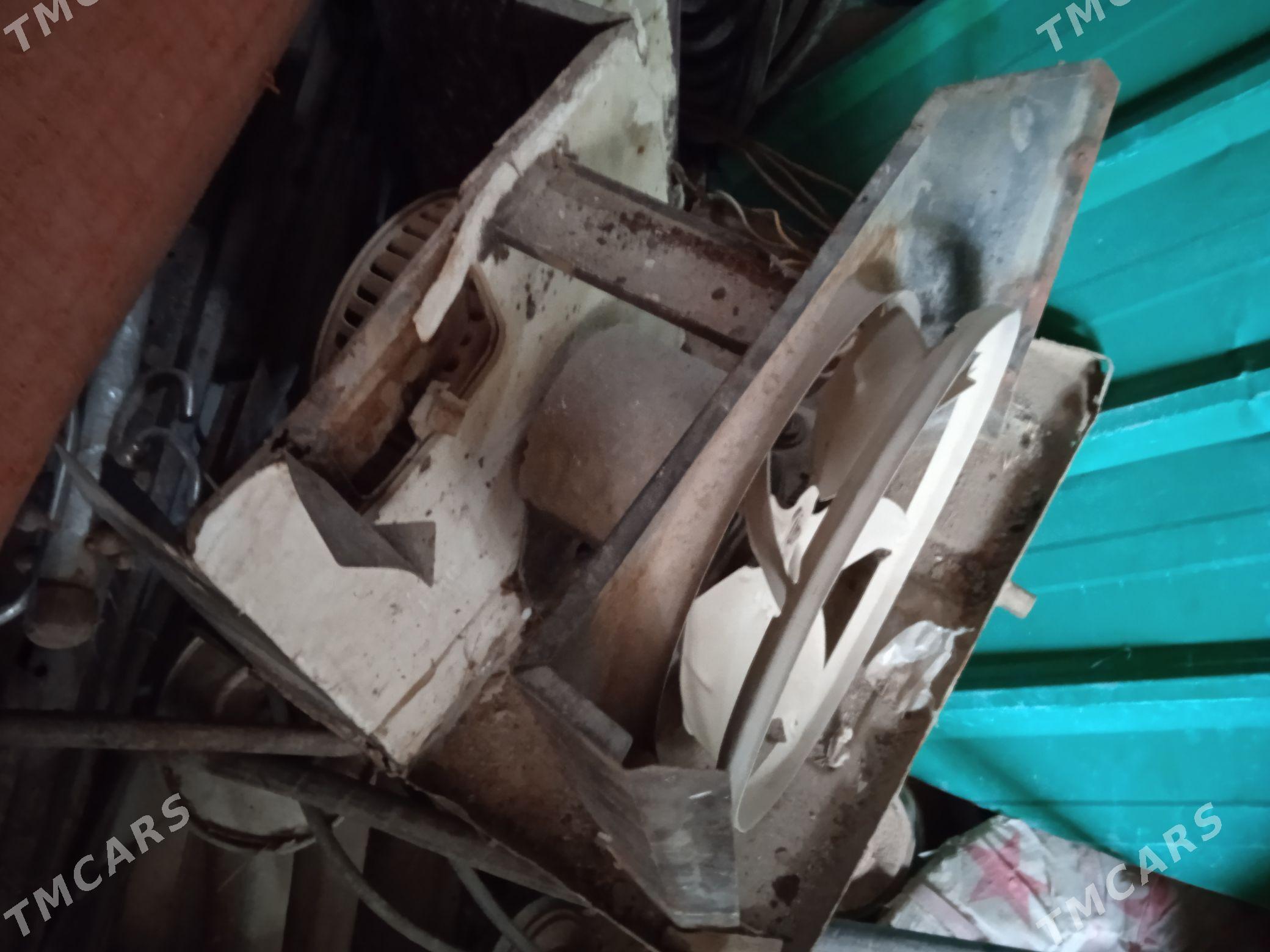 pasiwnik - Balkanabat - img 6