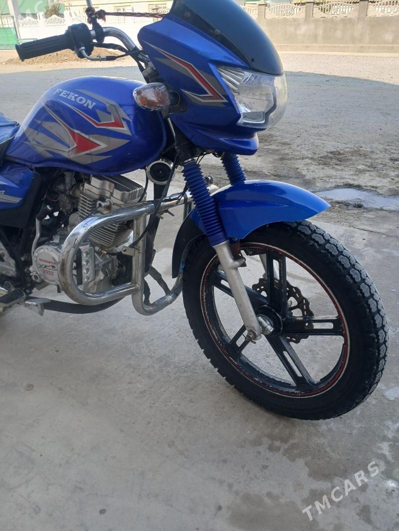 Fekon FK200-14G 2017 - 13 000 TMT - Ak bugdaý etraby - img 2