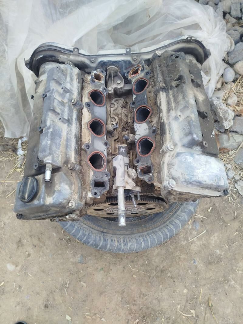 3lik gara mator 1 500 TMT - Ак-Бугдайский этрап - img 3