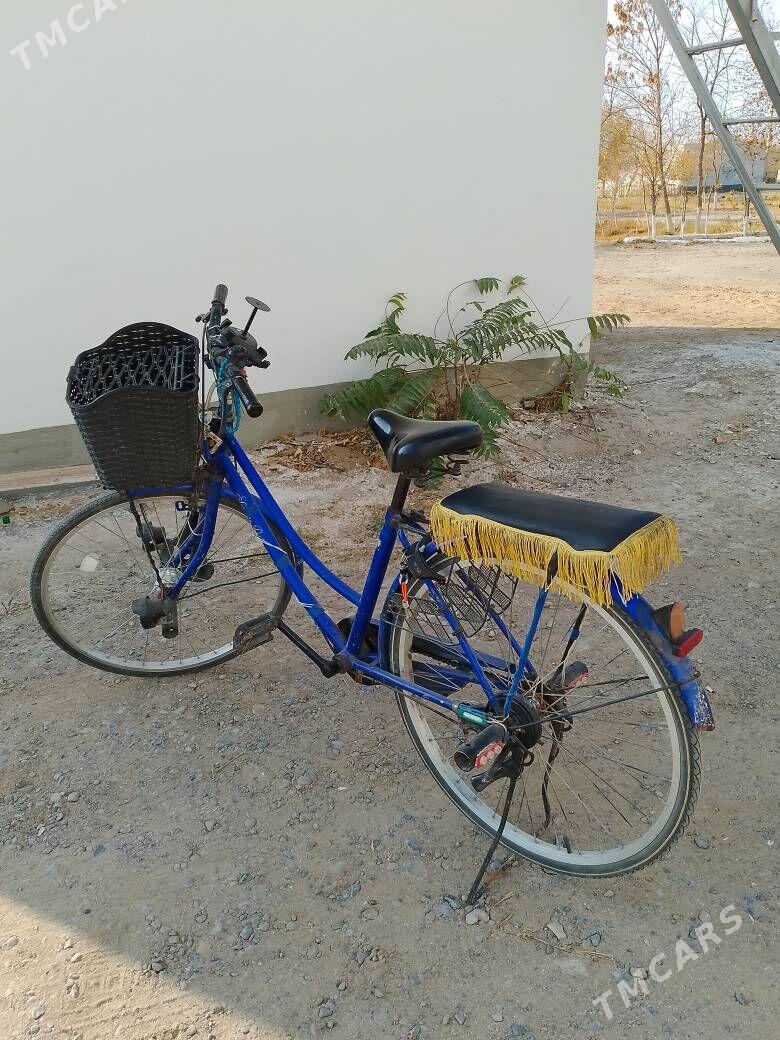 26 lyk - Tejen - img 2