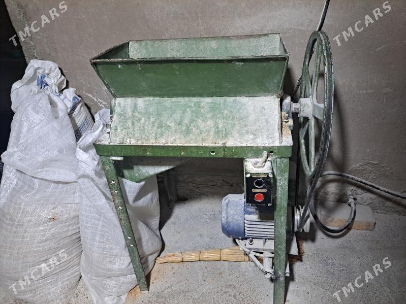 tokly çörk dowralÿan ysdanok - Теджен - img 2