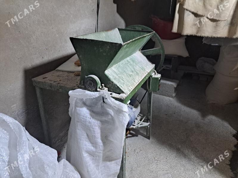 tokly çörk dowralÿan ysdanok - Теджен - img 1