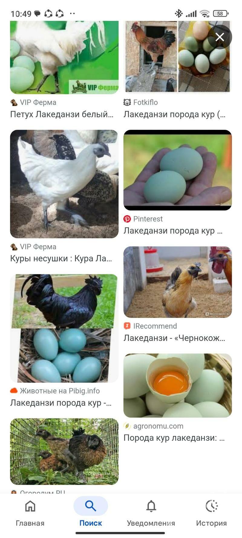 Lakadans - Мары - img 2