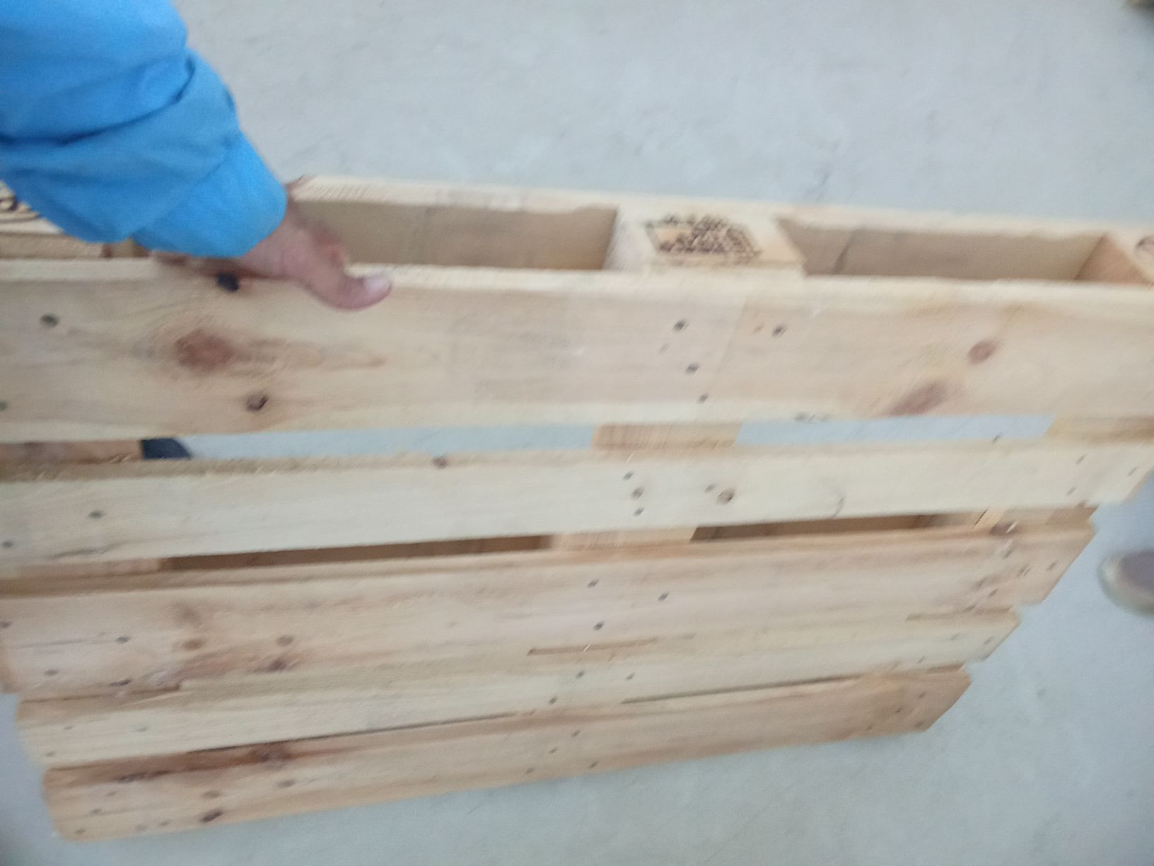 paddon palet 120*80 120*100 - Чоганлы - img 2