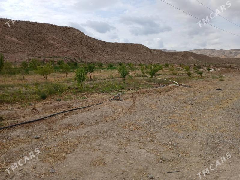 YER - Гызыларбат - img 6