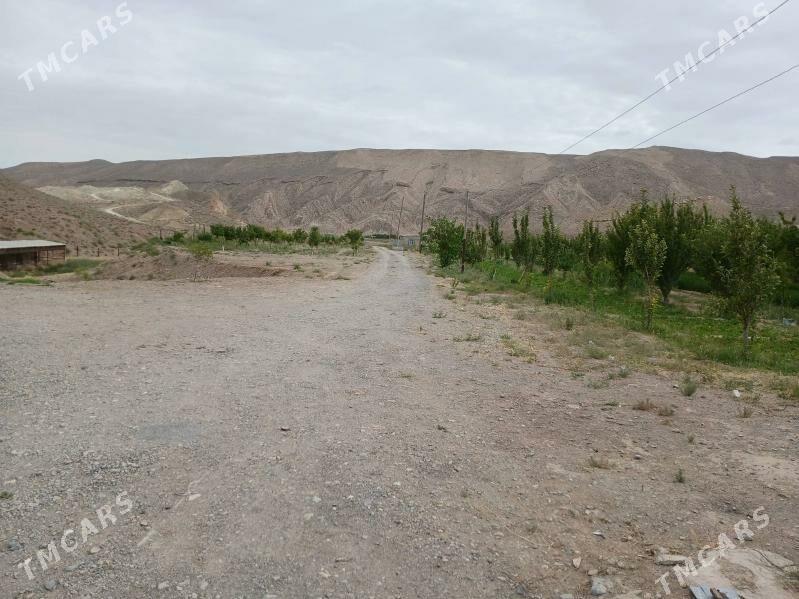 YER - Гызыларбат - img 7