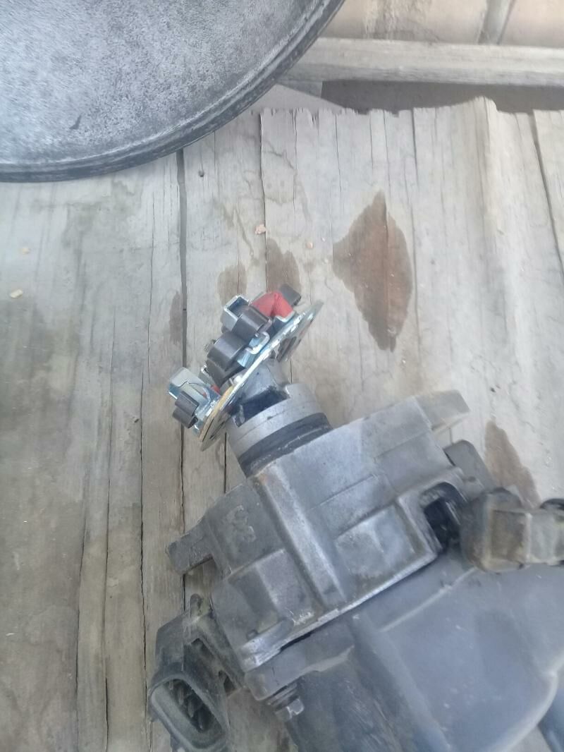 tyrypylyor 300 TMT - Murgap - img 2