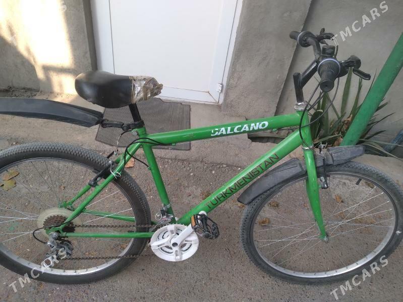 tigir gyssagly welik uly 26lyk - Bedew - img 1