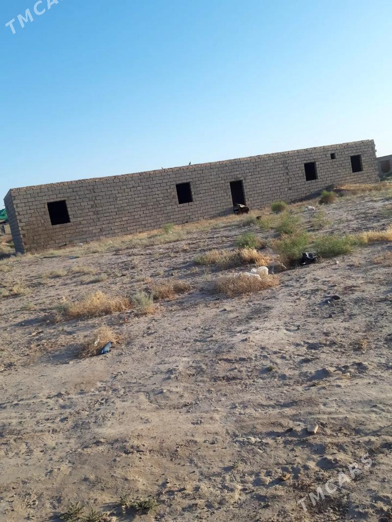 satlyk jay sarahs - Sarahs - img 7