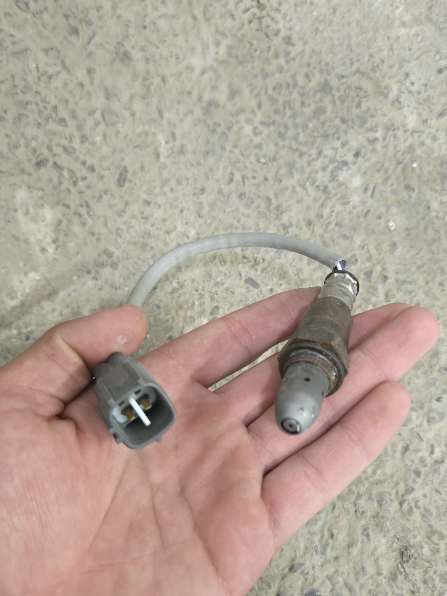 Katalizatr Lexus rx 2 000 TMT - Ашхабад - img 2