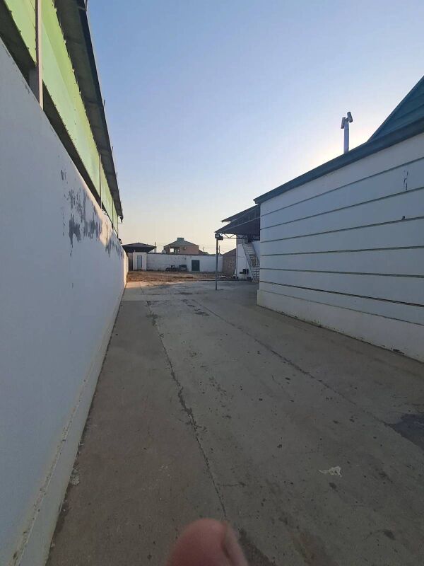 Anew Magtymguly 8 sotok - Änew - img 2