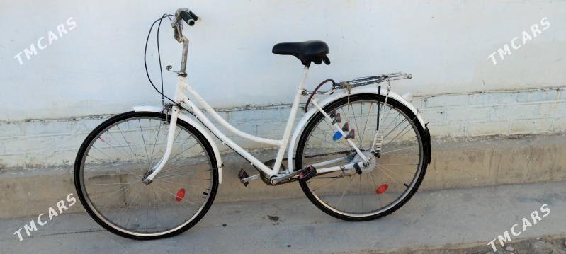 226 lyk welik - Мургап - img 2