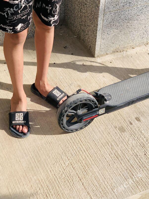 samakat - Ашхабад - img 2