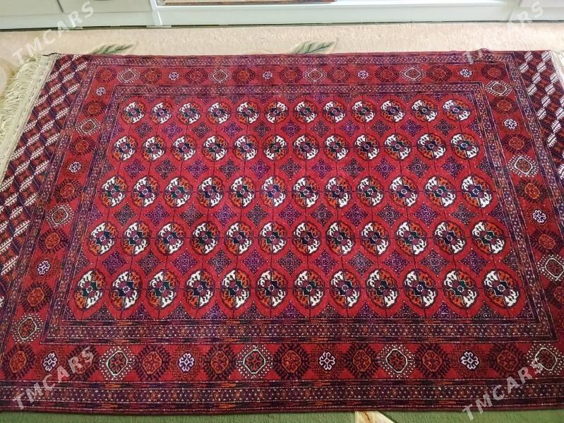 El haly - Кëши - img 2