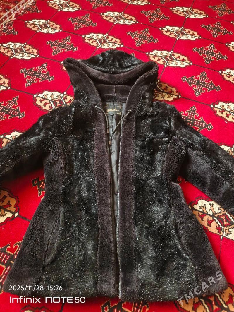 Şuba kelte - Daşoguz - img 1