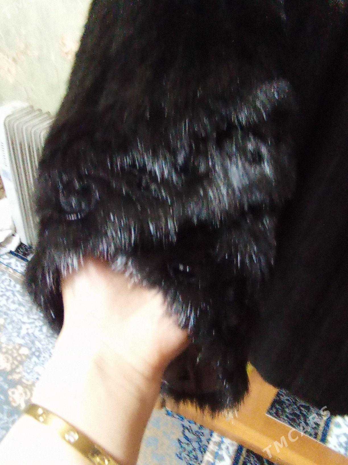 Şubo - Aşgabat - img 2