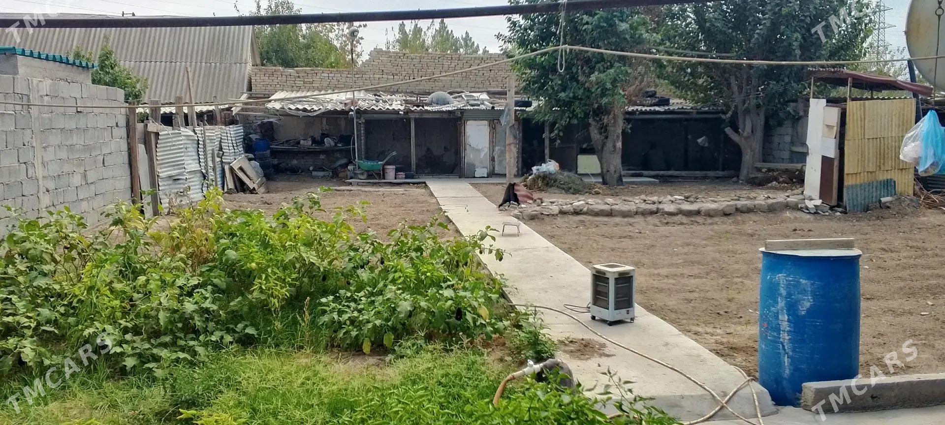 Satlyk jay - Ак-Бугдайский этрап - img 5