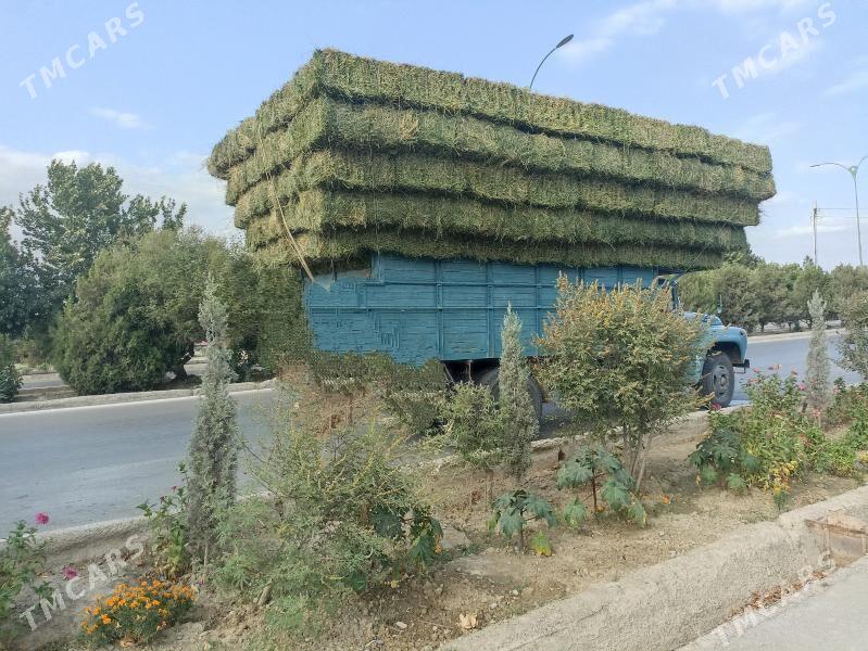 bede - Ашхабад - img 2