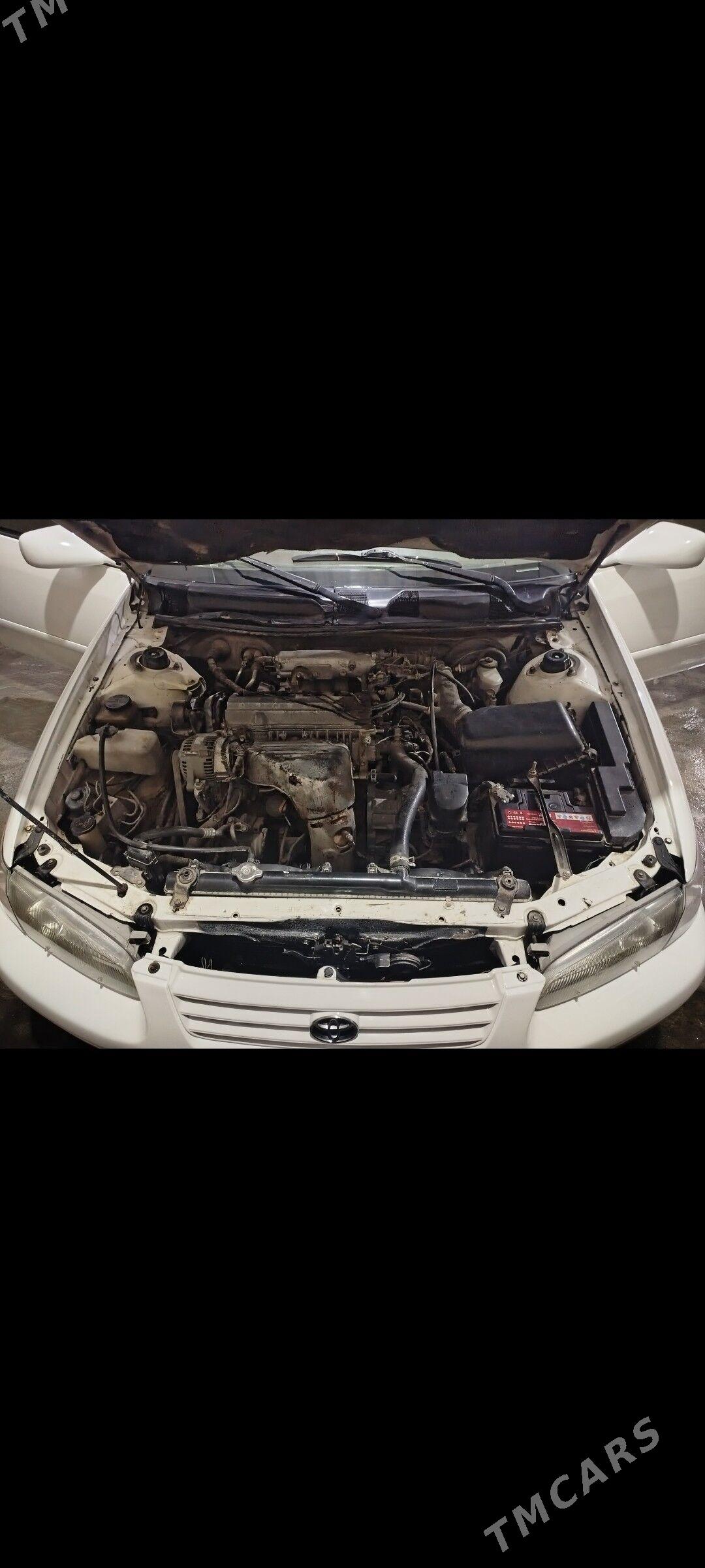 Toyota Camry 1999 - 125 000 TMT - Murgap - img 8