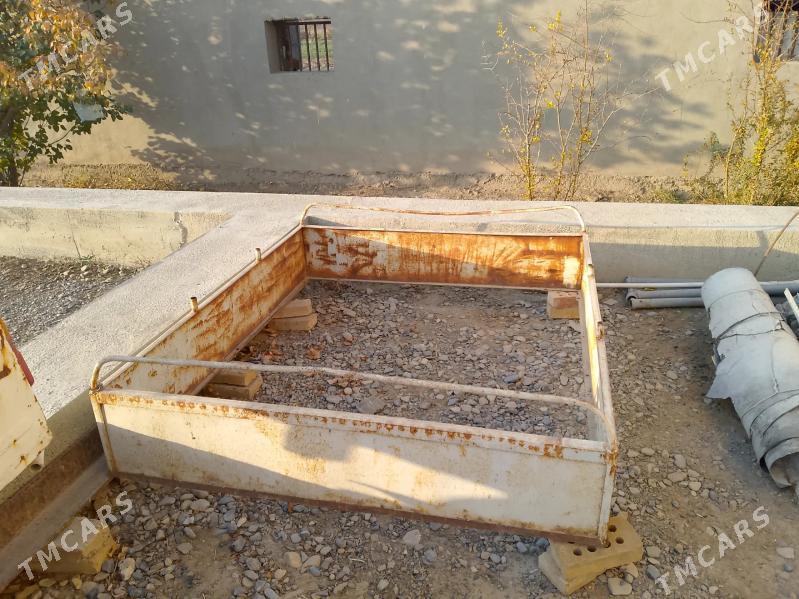 prissep - Mary - img 4