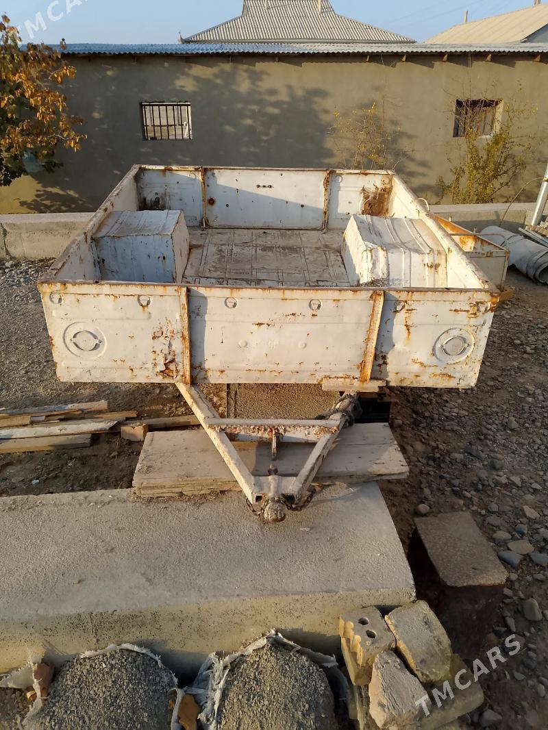 prissep - Mary - img 2