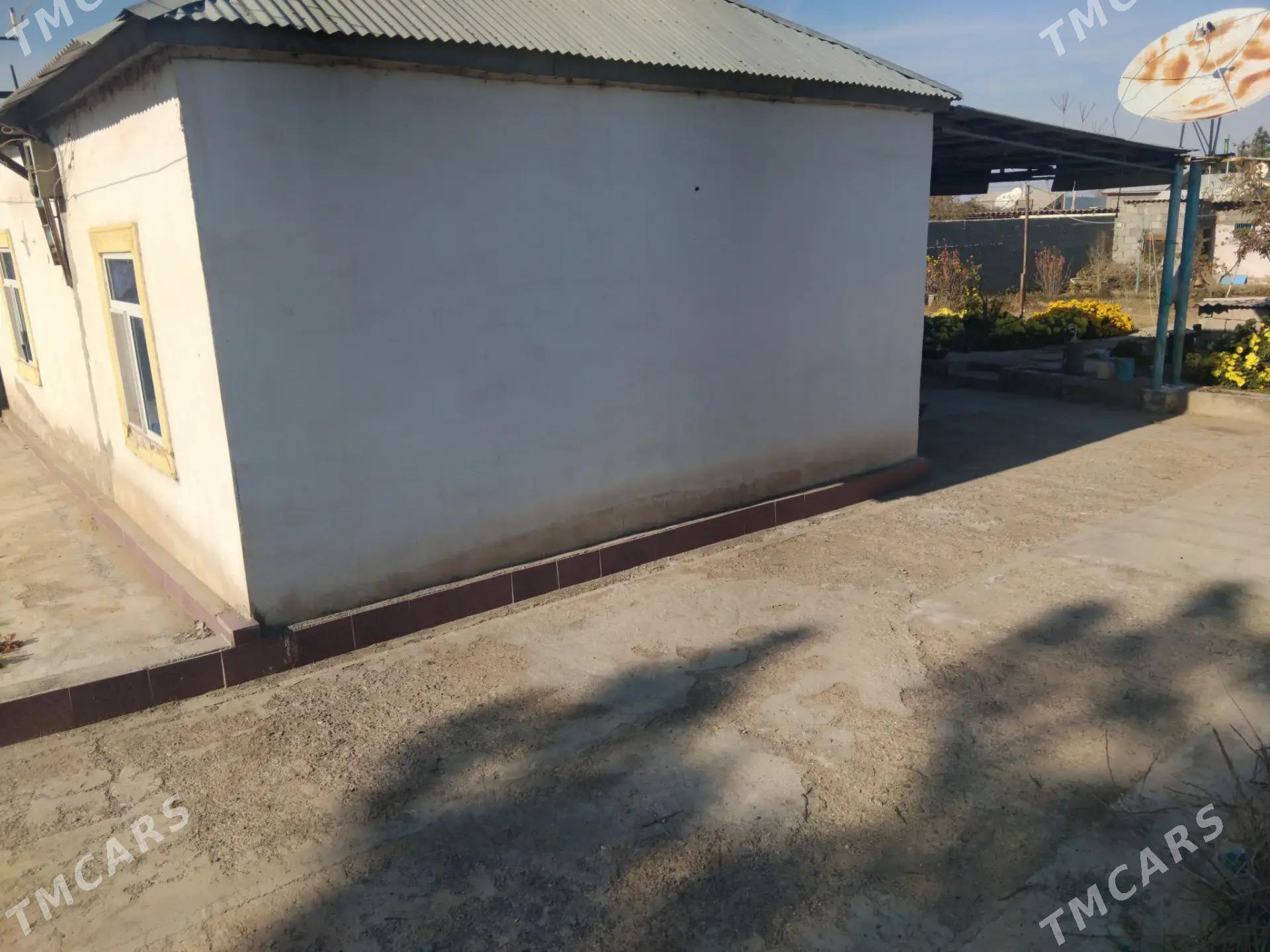 Anew daca - Änew - img 3