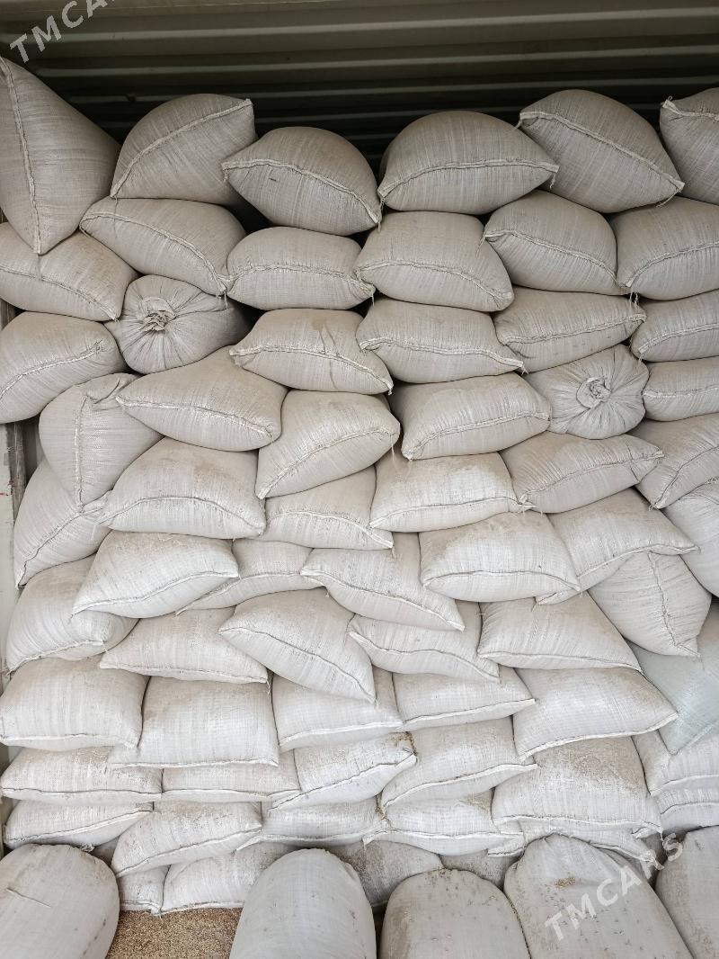 Arpa Madawda4tmt - Etrek - img 3