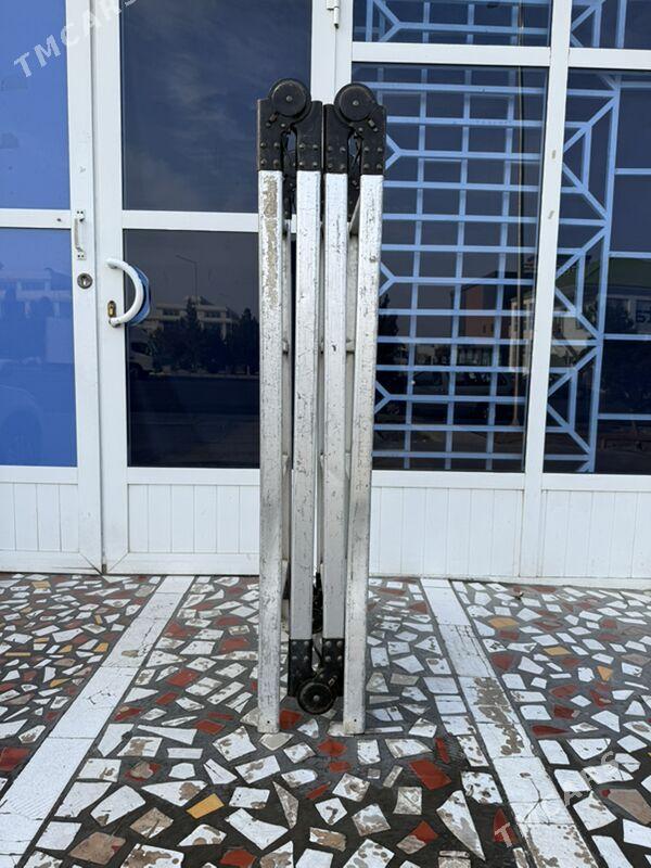 Merdiwan Lessinsa - Mary - img 2