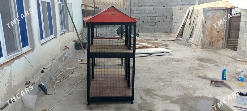 Towu. Jüje ketek - Büzmeýin - img 4