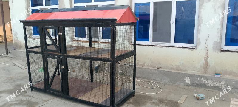 Towu. Jüje ketek - Büzmeýin - img 2