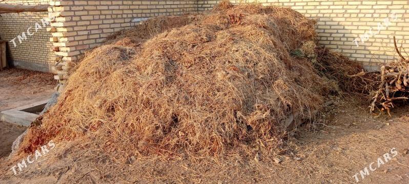 Bede - Туркменабат - img 2