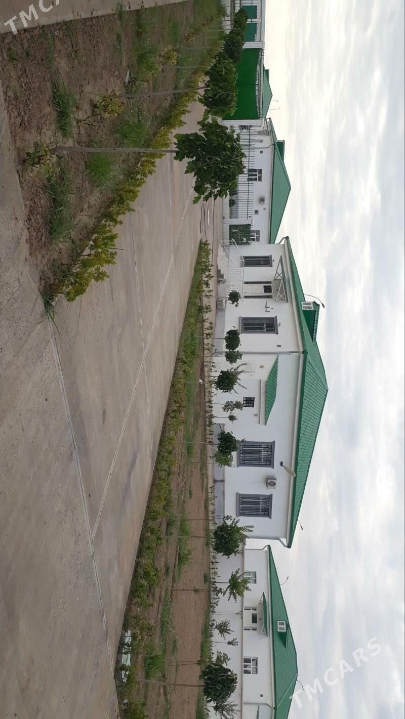 nurly zaman - Ашхабад - img 7